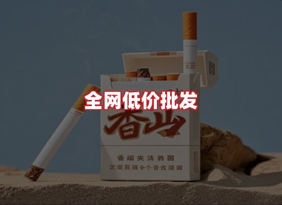 专业团队